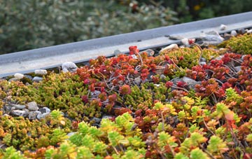 the cost of West Kensington green roof installation