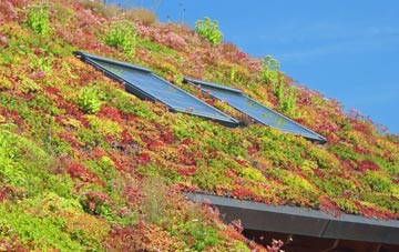 West Kensington living roof systems