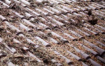 West Kensington roof cleaning companies